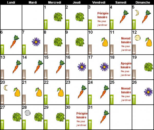 Comment jardiner avec la lune ?