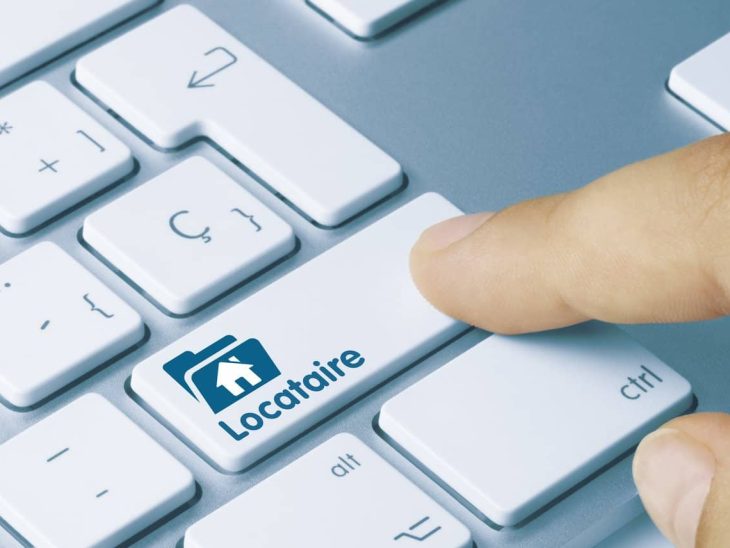 Les erreurs courantes à éviter lors de l’éducation de votre animal