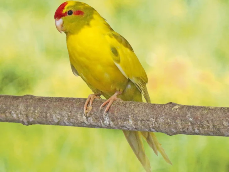 Les bénéfices de retirer son argent de la banque : ce que vous devez savoir